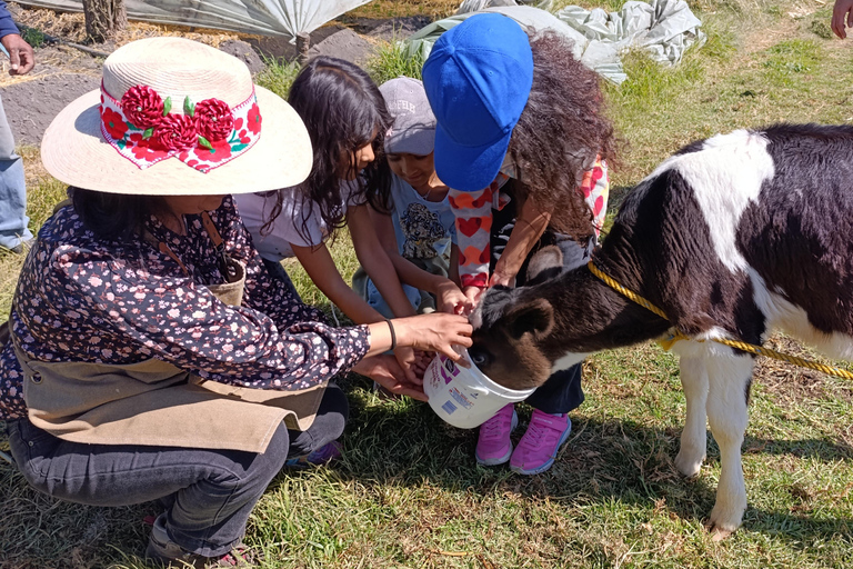 Xochimilco for kids and families
