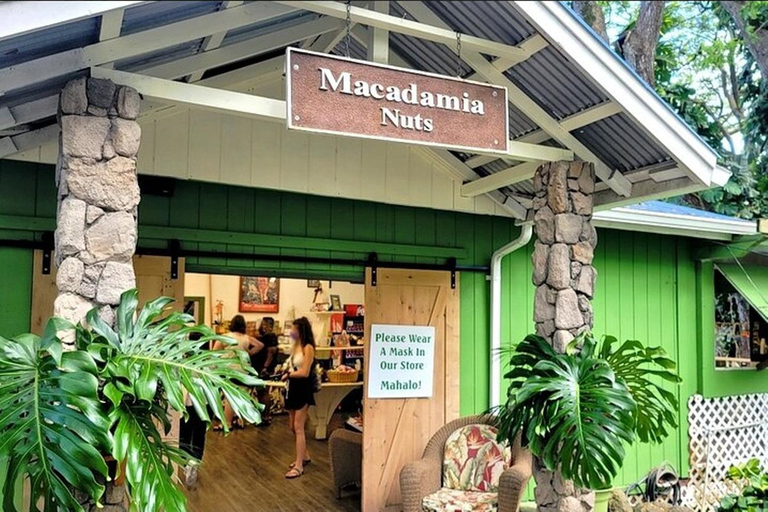 Hawaii : Tour panoramico e tour gastronomico dell&#039;isola di Oahu