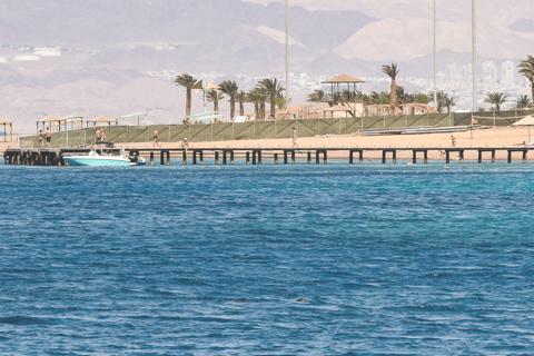 Aqaba : Forfaits de plongée avec kits, de 1 jour à 5 jours3 jours - 6 plongées