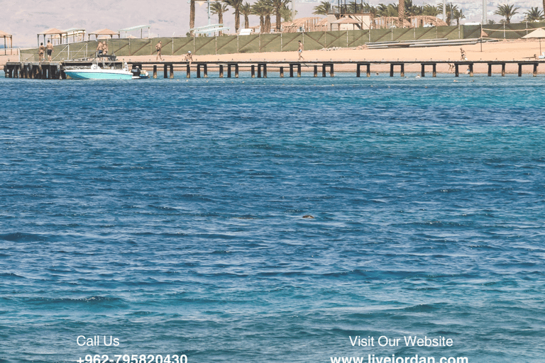 Aqaba: I pacchetti di immersione con kit partono da 1 giorno a 5 giorni1 giorno - 2 immersioni