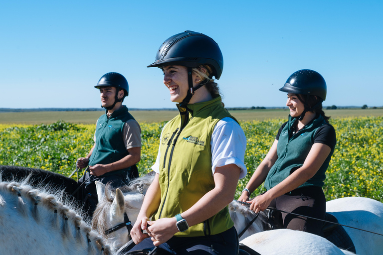 Horseback ride around Doñana National Park Horseback riding around Doñana National Park
