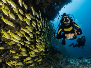 Kefalonia: Beginner Scuba Diving at Agia Efimia Village
