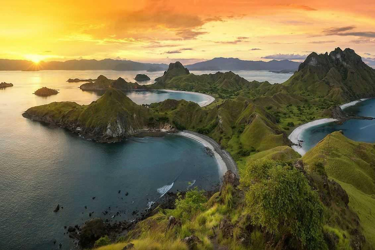 Day Trip Explore Komodo National Park by Private Speed Boat