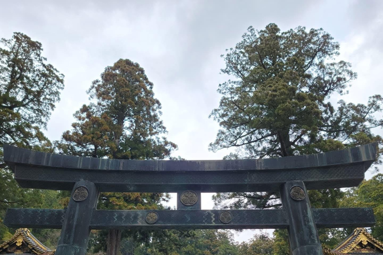 Nikko Private Day Tour with English Speaking Expert Driver