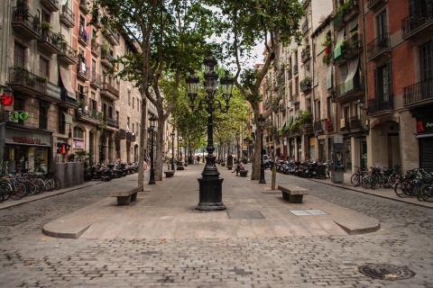 Barcelona: 4-godzinne prywatne muzeum Picassa i piesza wycieczka
