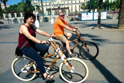 Barcelona: Private Highlights Tour by Bamboo BicycleBlue Tour - 3 uur