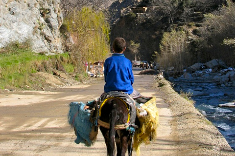 Atlas Mountains and Agafay Desert Jeep Safari