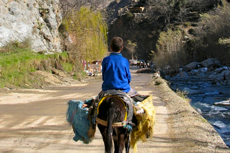 Safari en jeep por el Atlas y el desierto de Agafay