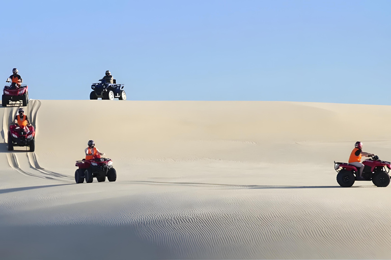 Sydney:Dolfijnen kijken en sandboarden in Port Stephens