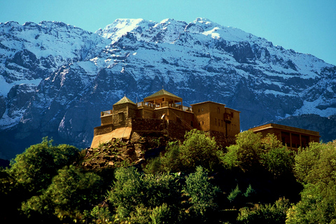 Marrakech: Jeepsafari i Atlasbergen och öknen med lunch