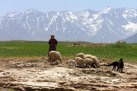 Atlas Mountains and Agafay Desert Jeep Safari