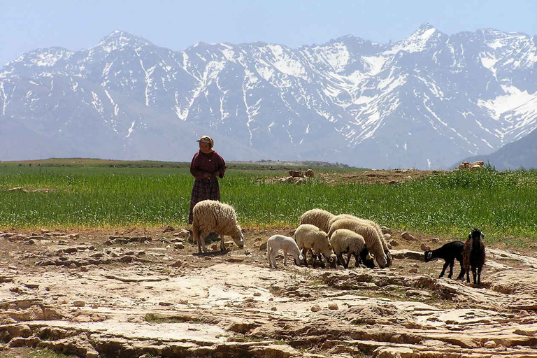 Atlas Mountains and Agafay Desert Jeep Safari