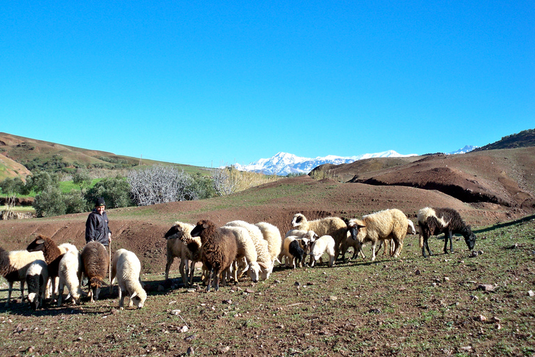 Safari en jeep por el Atlas y el desierto de Agafay