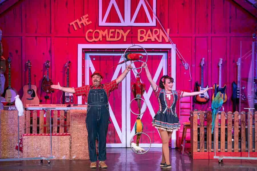 Pigeon Forge: Comedy Barn Theater - Ticket für die Varieté-Show. Foto: GetYourGuide