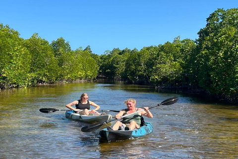Zanzibar: Mangrove Kayak Tour with Snorkeling and Guide