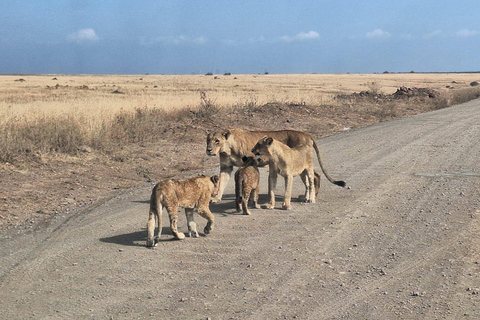 Nairobi National Park Half-Day Game Drive With Free Pick Up