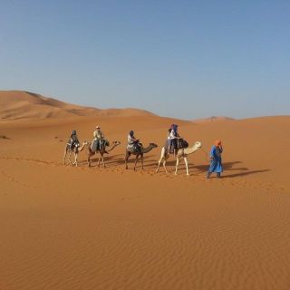 Ab Fez: 2-Tages-Wüstentour für Kleingruppen