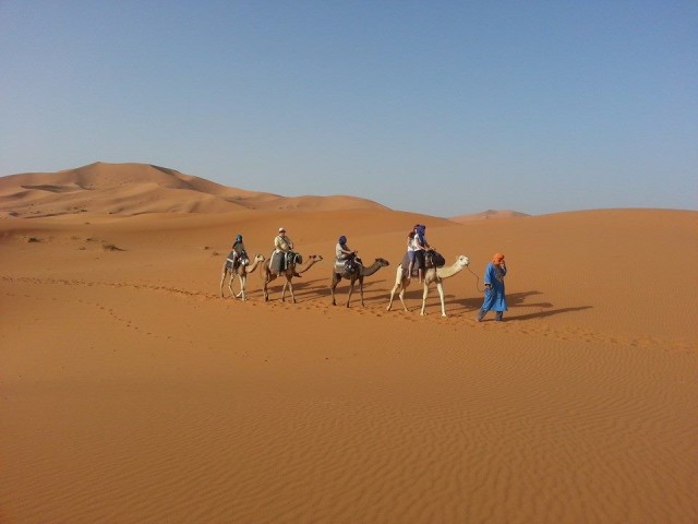 Visit From Fes 2-Day Desert Tour with Return to Fes or Marrakech in Toluca