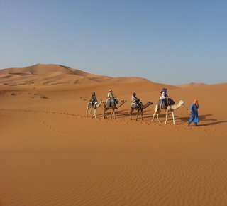 Excursions sur plusieurs jours depuis Fès