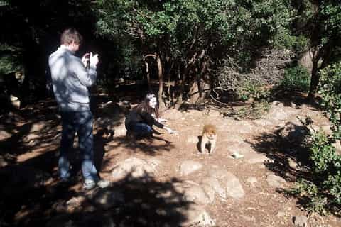 From Fes: 2-Day Small Group Desert Tour