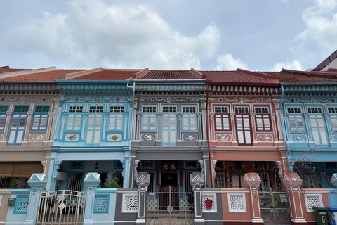 جولة بالسيارة في سنغافورة: الحي الصيني/حاجي لين/جو تشياتجولة خاصة لمدة 4 ساعات | جولة خاصة