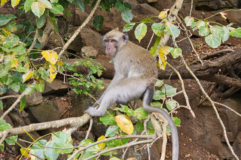 5 ilhas Passeio de barco, Snorkeling, Almoço de churrasco na praia