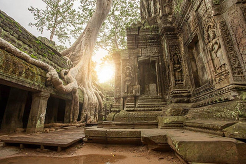 Siem Reap: Angkor Wat, Ta Prohm & Bayon Temple Full-Day Tour in German Angkor Wat, Ta Prohm & Bayon Temple Full-Day Tour in German by Car