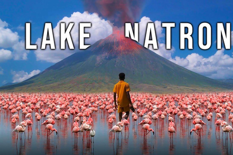 Safari di 2 giorni sul Lago Natron