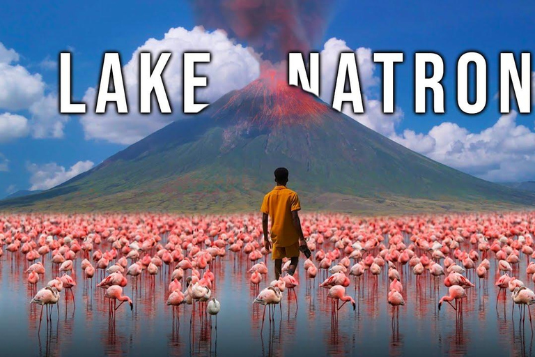 2 Tage magische Lake Natron Safari