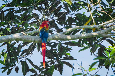 From Cusco: Manu Wildlife & Cloud Forest 3-Day Adventure