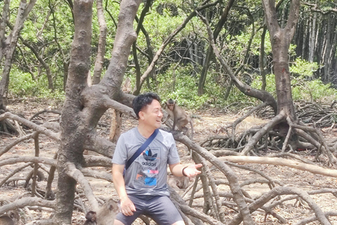 Visite d&#039;une jounée de la forêt de mangroves de Can Gio et de l&#039;île aux singes