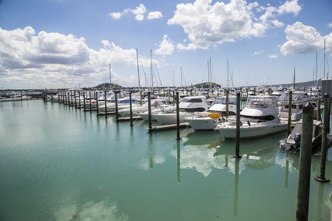 Auckland halvdagsutflykt genom urbana underverk