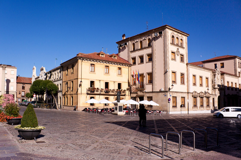 León: Spanish Walking Tour of City and Cathedral