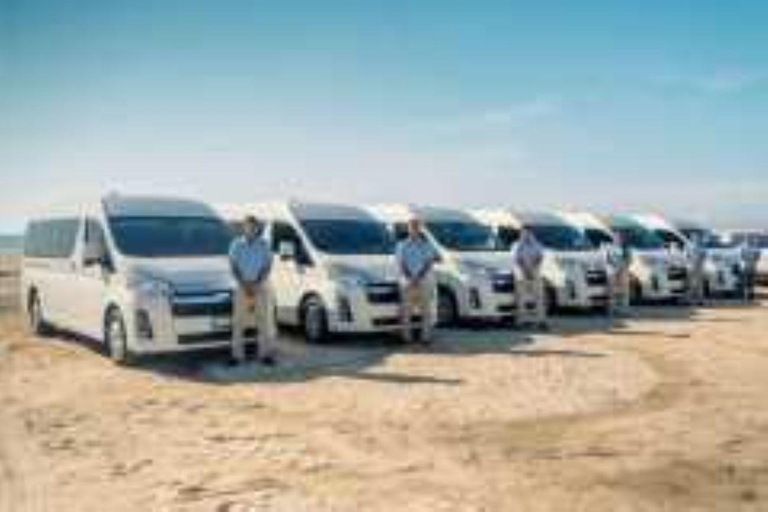 Los Cabos Airport: Transfer to Tourist Corridor Roundtrip public