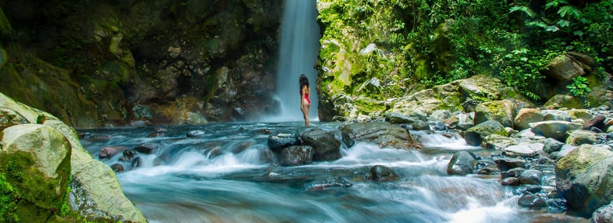 Terre luxueuse des sens