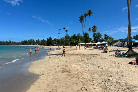 El Yunque Rainforest; Waterslides, Beach, Dine and Shop Tour El Yunque Rainforest Waterslides and Beach Tour