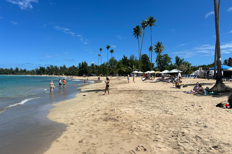 El Yunque Rainforest; Waterslides, Beach, Dine and Shop Tour El Yunque Rainforest Waterslides and Beach Tour