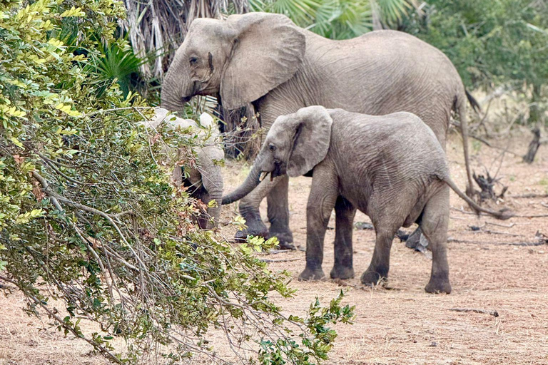 Dar es Salaam: gita di 1 giorno in treno al Parco nazionale di Mikumi