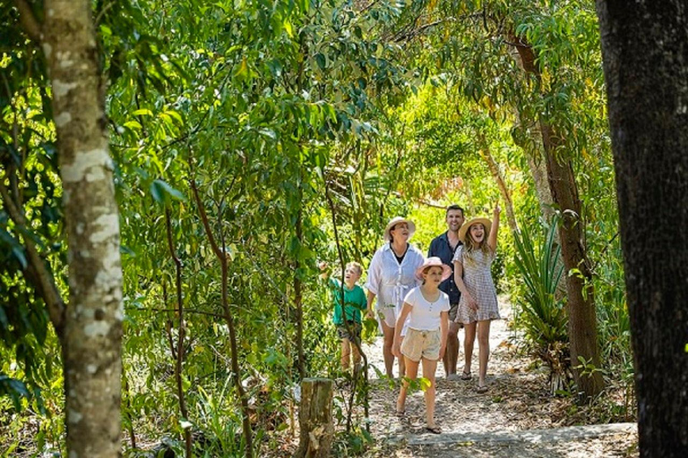 From Daydream: Whitsundays and Whitehaven Half-Day Cruise Afternoon Cruise