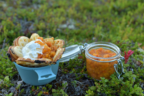 Abisko: Arctic Fireside Waffles Experience