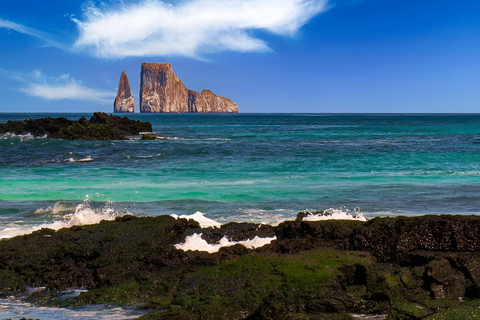 Day Tour 360 + Kicker Rock San Cristobal Highlight