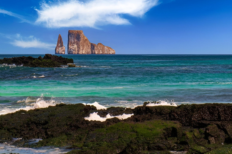 Day Tour 360 + Kicker Rock San Cristobal Highlight