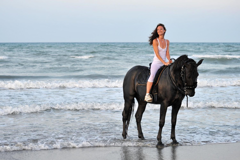 Side: Horse Riding Experience with Pony Option