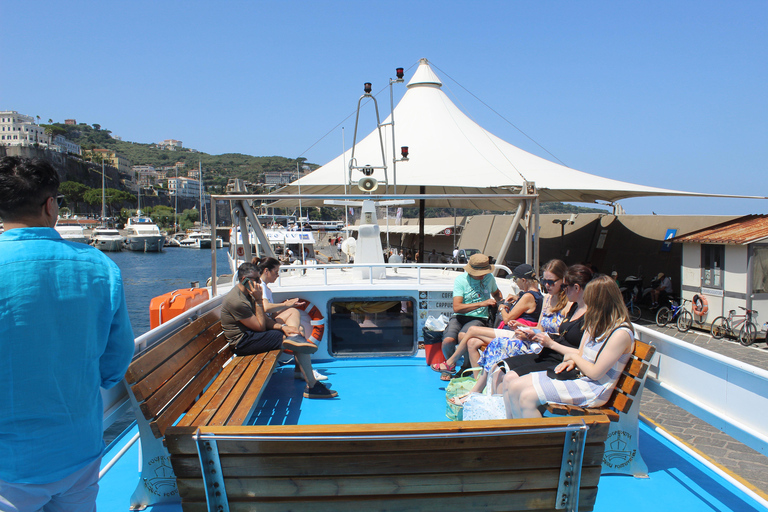 Capri: Blue Cruise with Guide from Sorrento, C.Stabia,Seiano From Seiano: Capri Blue Cruise