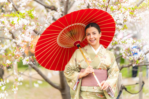 Kyoto: Private Tour with Local | Choose from 2,4,6 Hours 4 Hour Private Tour Option