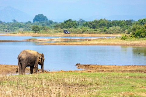 Udawalawa natinal park from Ahungalla,Bentota,Beruwella All-Inclusive South to Udawalawa Safari