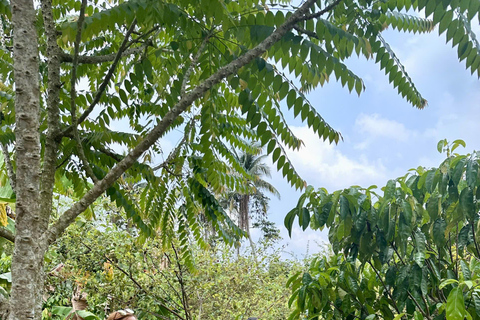 2-Day Mekong Delta Tour: Phu Quoc to Phnom Penh via Chau Doc Private Transfer with Driver (No Guide, No Hotel Included)