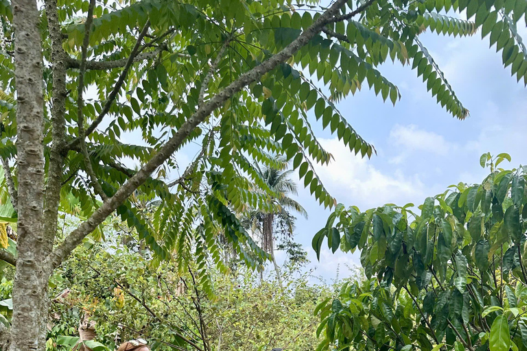 2-Day Mekong Delta Tour: Phu Quoc to Phnom Penh via Chau Doc Private Transfer with Driver (No Guide, No Hotel Included)