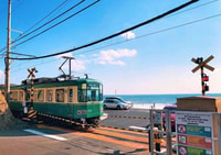 da Tokyo a Kamakura, Great Buddha & Slam-Dunk Fan Tour - Hizvo