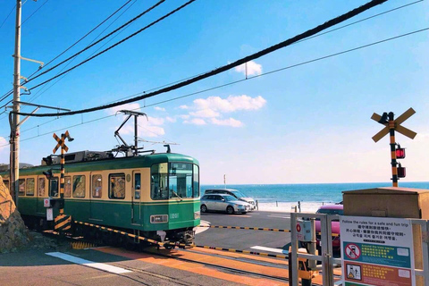 Tokyo: Kamakura & Enoshima Day Tour with Pickup & Train Ride 8:30AM Meet at Tokyo Stn Marunouchi North with Driver